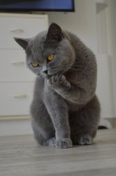 IMG_3171