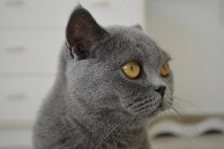 IMG_3181